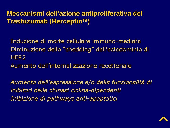 Meccanismi dell’azione antiproliferativa del Trastuzumab (Herceptin ) Induzione di morte cellulare immuno-mediata Diminuzione dello
