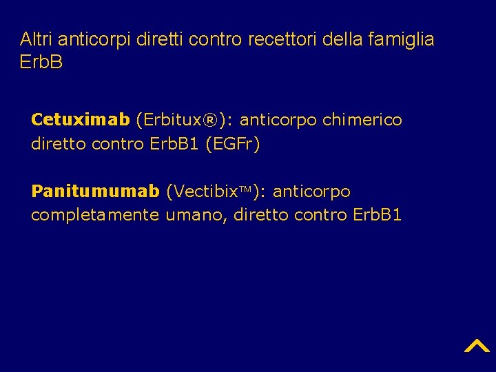 Altri anticorpi diretti contro recettori della famiglia Erb. B Cetuximab (Erbitux®): anticorpo chimerico diretto