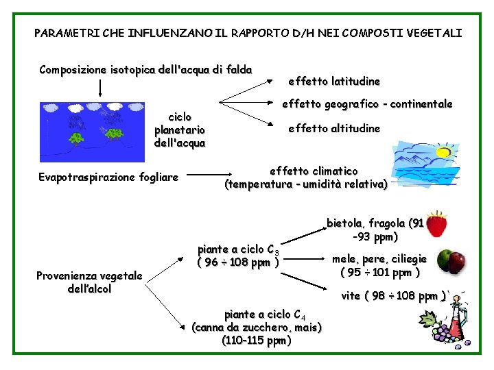 Parametri D/H nei vegetali PARAMETRI CHE INFLUENZANO IL RAPPORTO D/H NEI COMPOSTI VEGETALI Composizione