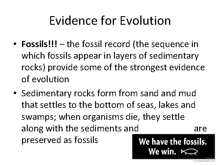 Evidence for Evolution • Fossils!!! – the fossil record (the sequence in which fossils