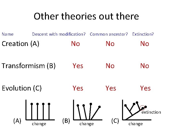 Other theories out there Name Descent with modification? Common ancestor? Extinction? Creation (A) No