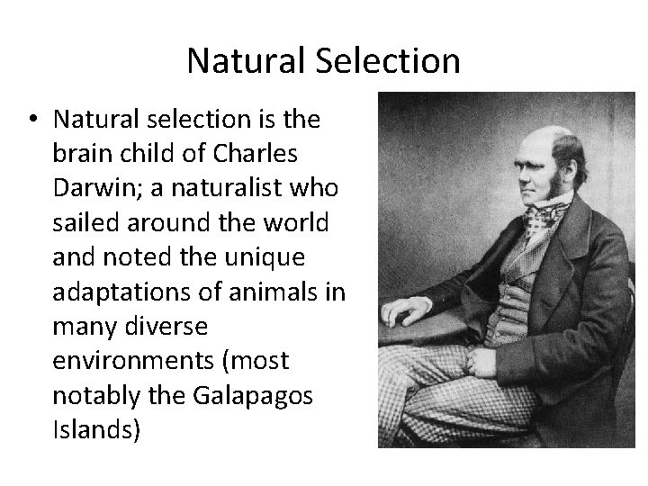 Natural Selection • Natural selection is the brain child of Charles Darwin; a naturalist