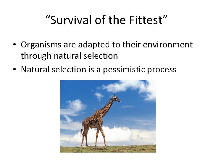 “Survival of the Fittest” • Organisms are adapted to their environment through natural selection