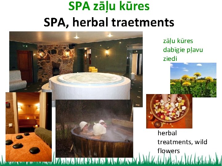 SPA zāļu kūres SPA, herbal traetments zāļu kūres dabīgie pļavu ziedi herbal treatments, wild