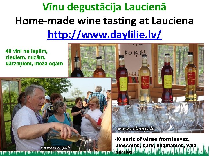 Vīnu degustācija Laucienā Home-made wine tasting at Lauciena http: //www. daylilie. lv/ 40 vīni