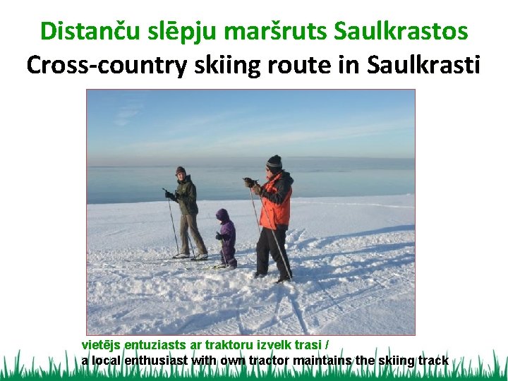 Distanču slēpju maršruts Saulkrastos Cross-country skiing route in Saulkrasti vietējs entuziasts ar traktoru izvelk