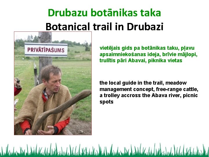 Drubazu botānikas taka Botanical trail in Drubazi vietējais gids pa botānikas taku, pļavu apsaimniekošanas