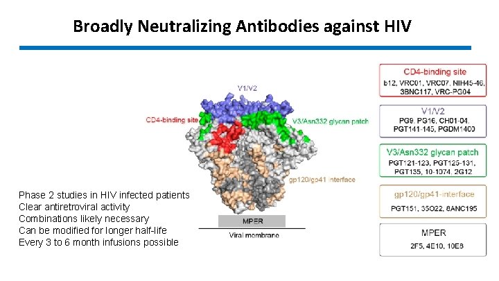 Broadly Neutralizing Antibodies against HIV Phase 2 studies in HIV infected patients Clear antiretroviral