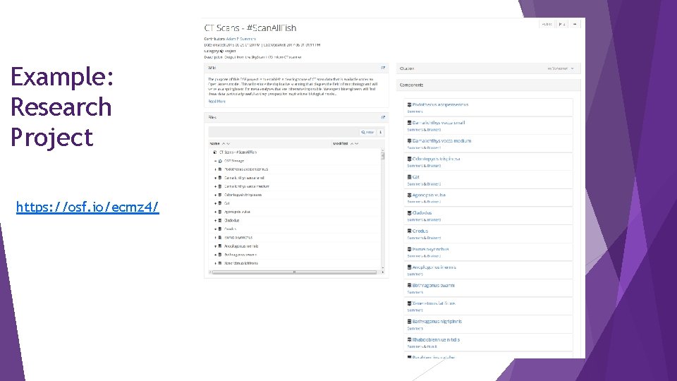 Example: Research Project https: //osf. io/ecmz 4/ 