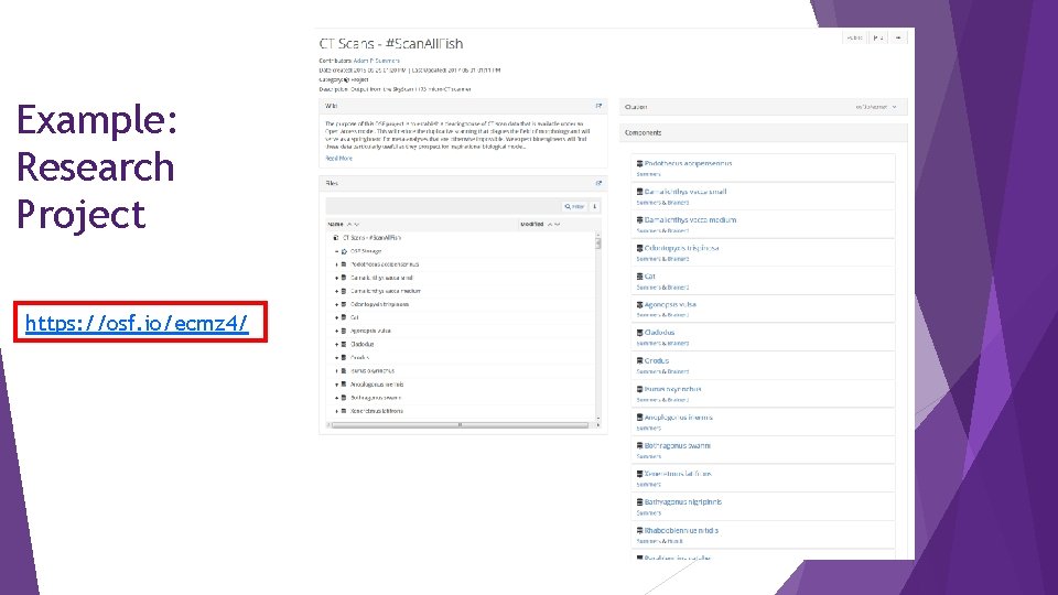 Example: Research Project https: //osf. io/ecmz 4/ 