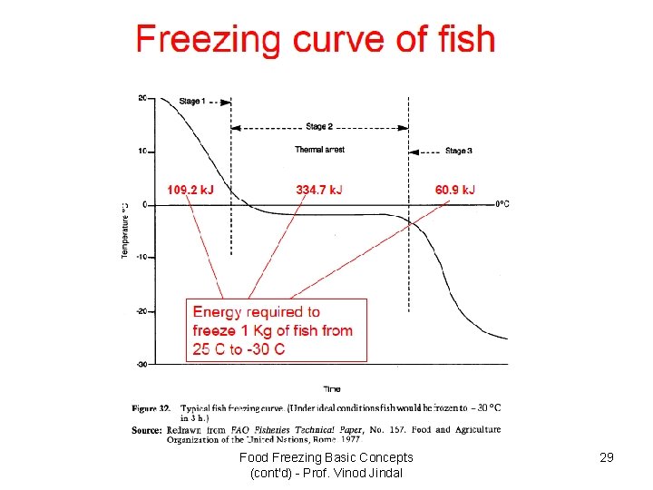 Food Freezing Basic Concepts (cont'd) - Prof. Vinod Jindal 29 