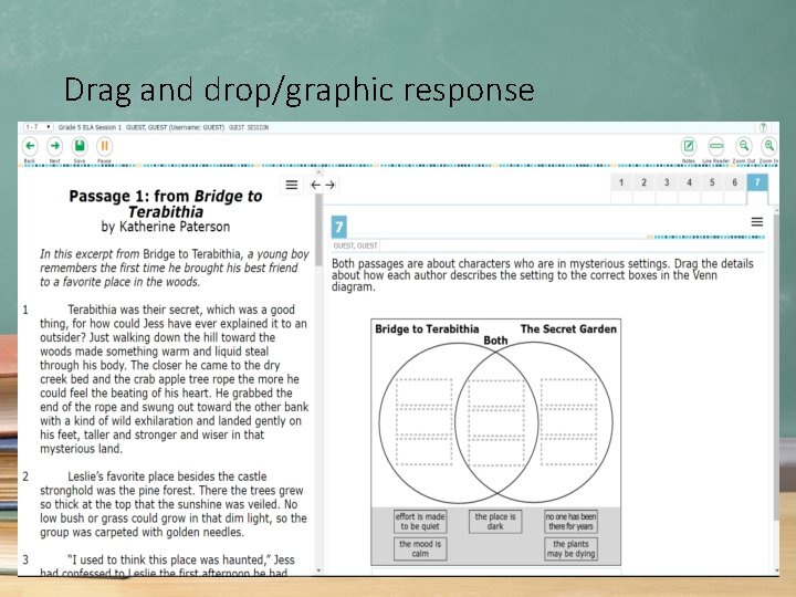 Drag and drop/graphic response 