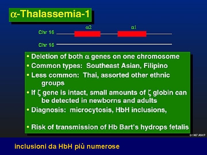 inclusioni da Hb. H più numerose 