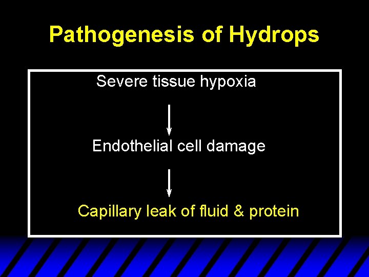 Pathogenesis of Hydrops Severe tissue hypoxia Endothelial cell damage Capillary leak of fluid &