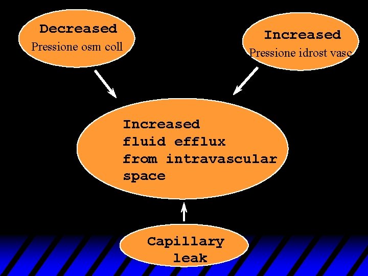 Decreased Increased Pressione osm coll Pressione idrost vasc Increased fluid efflux from intravascular space