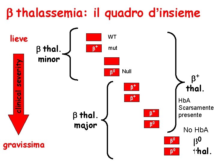  thalassemia: il quadro d’insieme clinical severity lieve WT thal. minor gravissima + mut