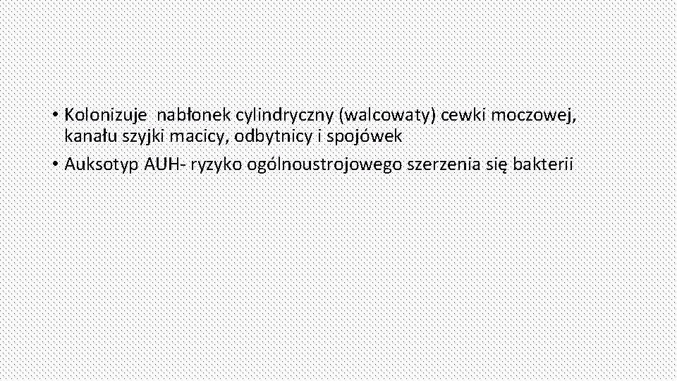  • Kolonizuje nabłonek cylindryczny (walcowaty) cewki moczowej, kanału szyjki macicy, odbytnicy i spojówek