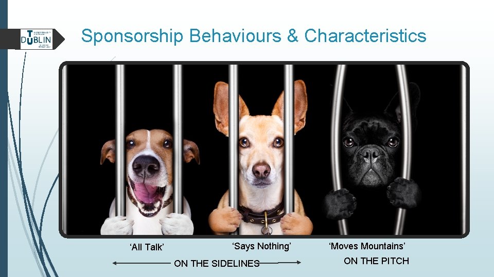 Sponsorship Behaviours & Characteristics ‘All Talk’ ‘Says Nothing’ ON THE SIDELINES ‘Moves Mountains’ ON