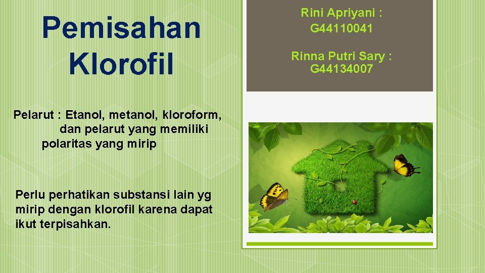 Pemisahan Klorofil Pelarut : Etanol, metanol, kloroform, dan pelarut yang memiliki polaritas yang mirip