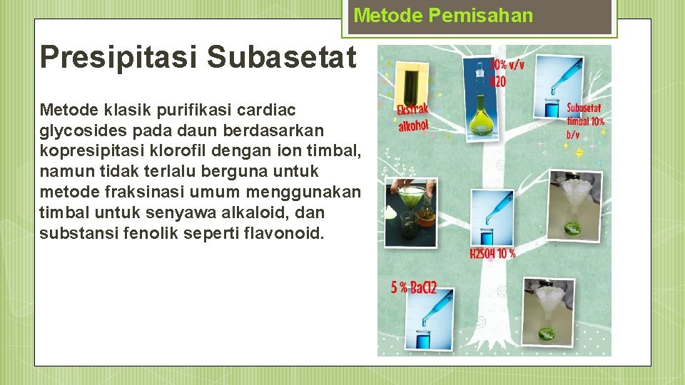 Metode Pemisahan Presipitasi Subasetat Metode klasik purifikasi cardiac glycosides pada daun berdasarkan kopresipitasi klorofil