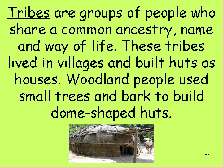 Tribes are groups of people who share a common ancestry, name and way of