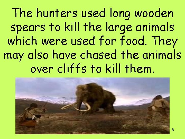 The hunters used long wooden spears to kill the large animals which were used