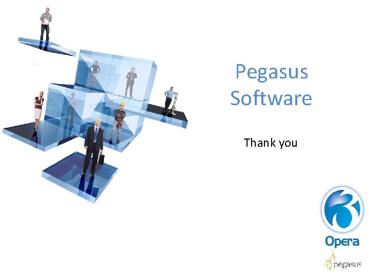 Pegasus Software Thank you 