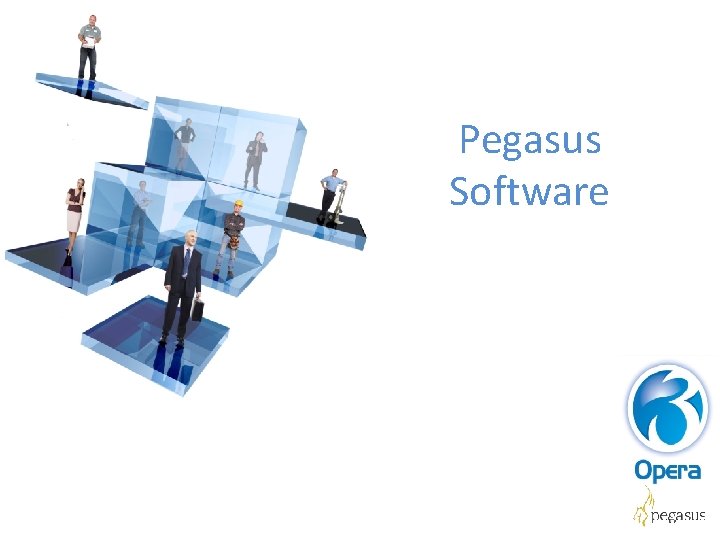 Pegasus Software 
