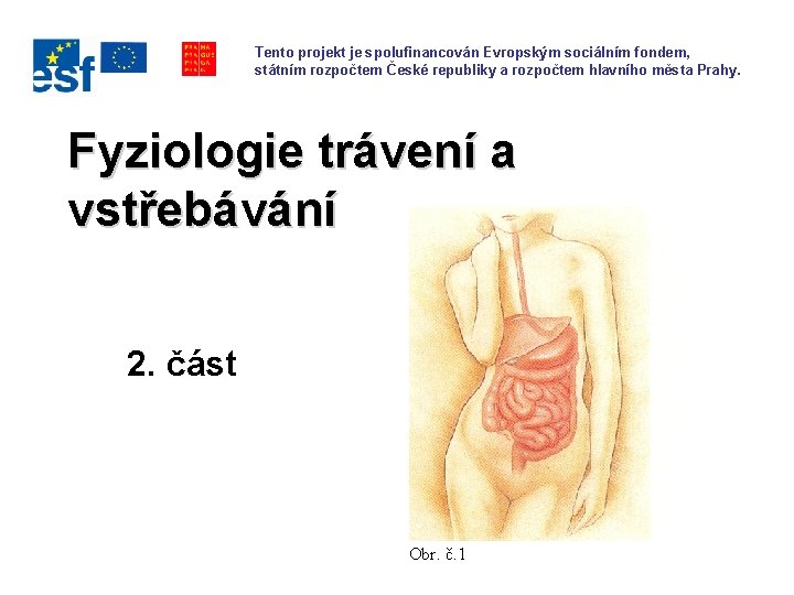 Tento projekt je spolufinancován Evropským sociálním fondem, státním rozpočtem České republiky a rozpočtem hlavního