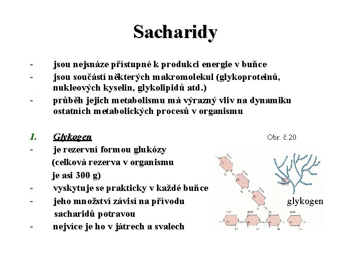 Sacharidy - 1. - - jsou nejsnáze přístupné k produkci energie v buňce jsou