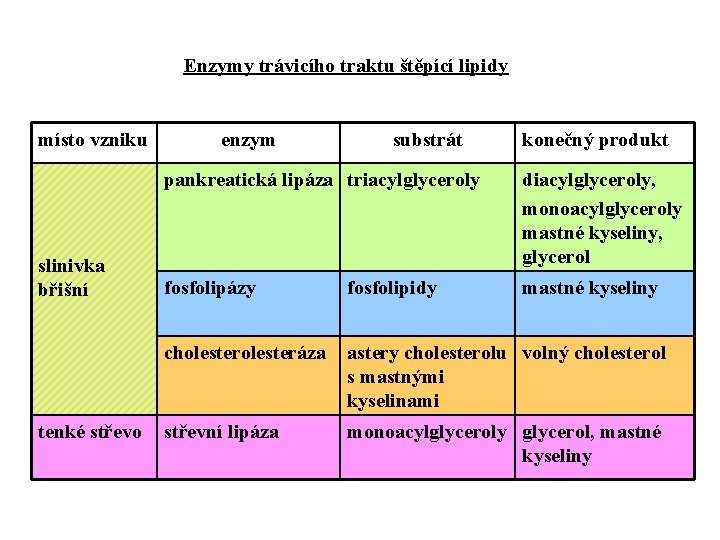 Enzymy trávicího traktu štěpící lipidy místo vzniku slinivka břišní tenké střevo enzym substrát konečný