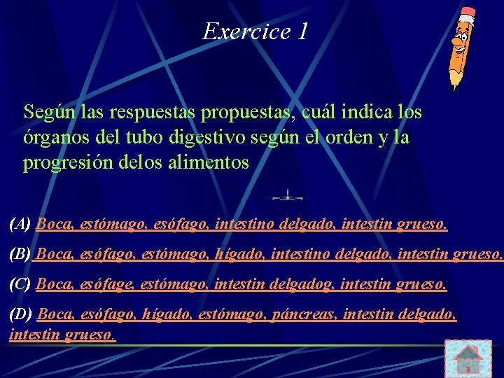 Exercice 1 Según las respuestas propuestas, cuál indica los órganos del tubo digestivo según