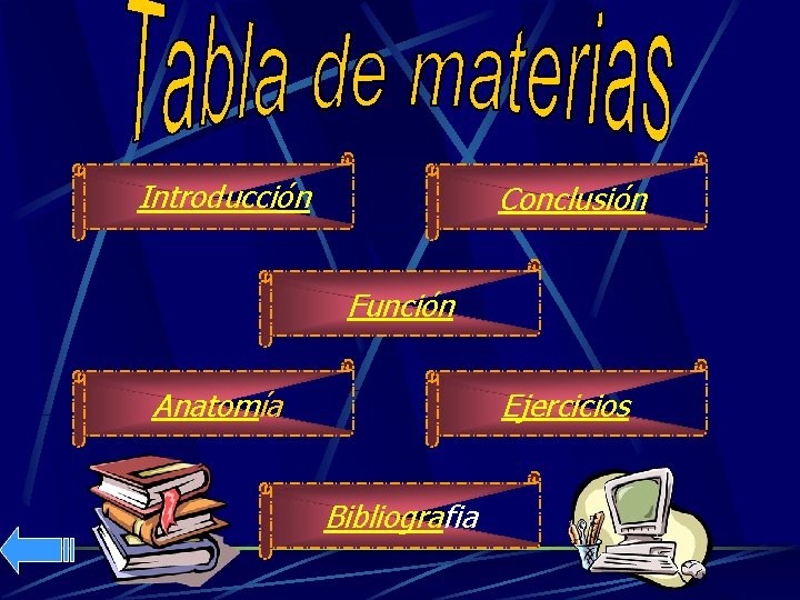 Introducción Conclusión Función Anatomía Ejercicios Bibliografia 