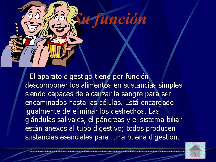 Su función El aparato digestigo tiene por función descomponer los alimentos en sustancias simples