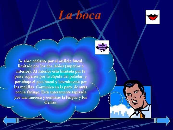 La boca Se abre adelante por el orificio bucal, limitado por los dos labios