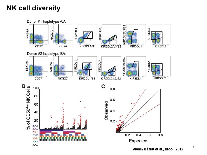 NK cell diversity Vivien Béziat et al. , Blood 2012 15 