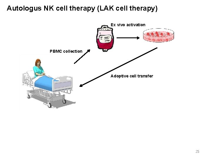 Autologus NK cell therapy (LAK cell therapy) Ex vivo activation PBMC collection Adoptive cell