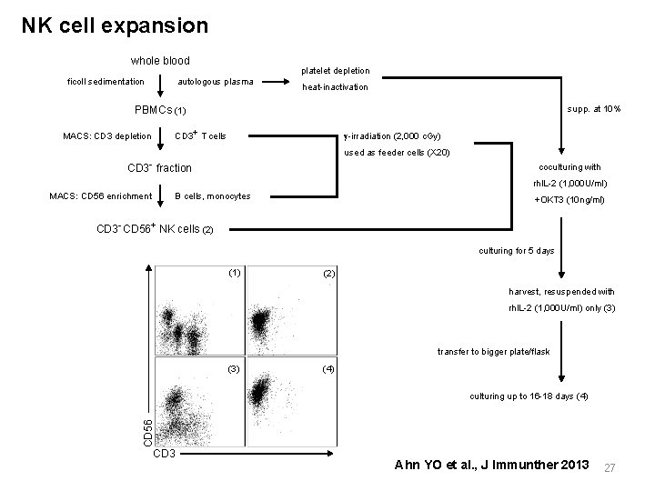 NK cell expansion whole blood ficoll sedimentation platelet depletion autologous plasma heat-inactivation supp. at