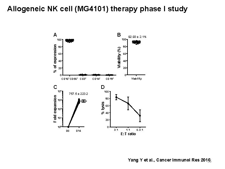 Allogeneic NK cell (MG 4101) therapy phase I study B 100 80 80 Viability