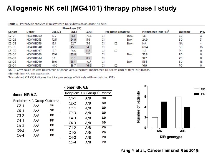 Allogeneic NK cell (MG 4101) therapy phase I study donor KIR A/B donor KIR