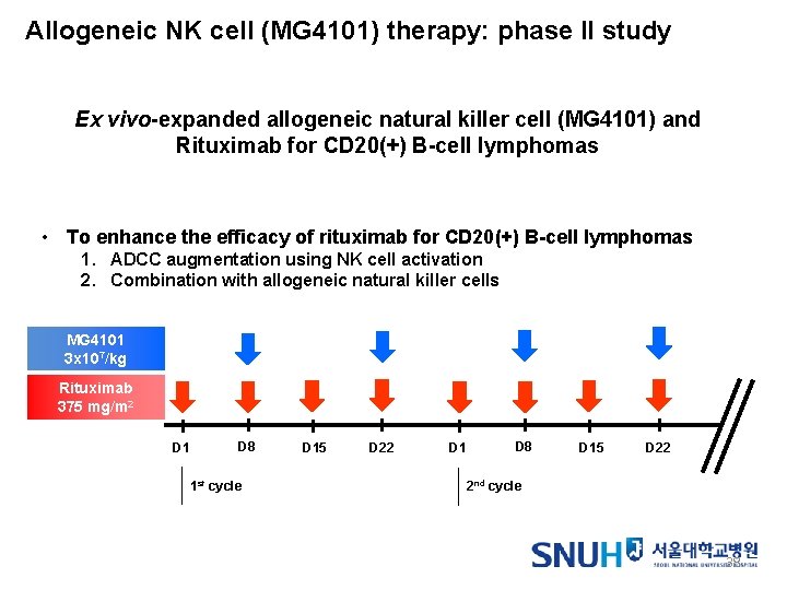 Allogeneic NK cell (MG 4101) therapy: phase II study Ex vivo-expanded allogeneic natural killer