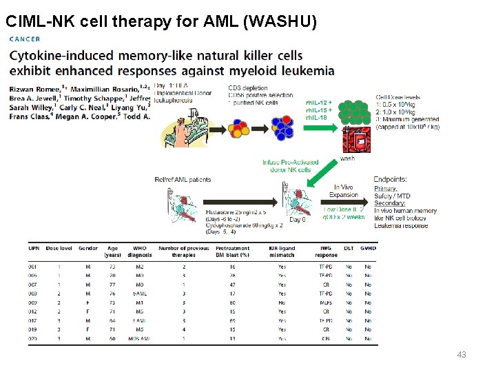 CIML-NK cell therapy for AML (WASHU) 43 
