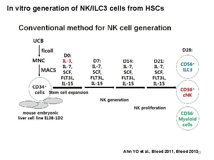 In vitro generation of NK/ILC 3 cells from HSCs Ahn YO et al. ,