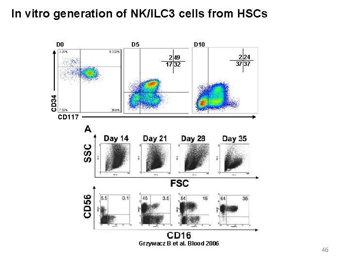 In vitro generation of NK/ILC 3 cells from HSCs D 0 D 5 D