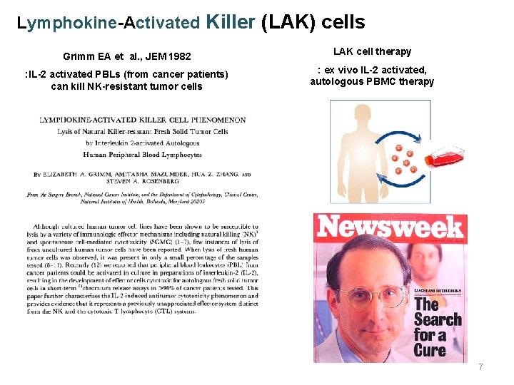 Lymphokine-Activated Killer (LAK) cells Grimm EA et al. , JEM 1982 LAK cell therapy