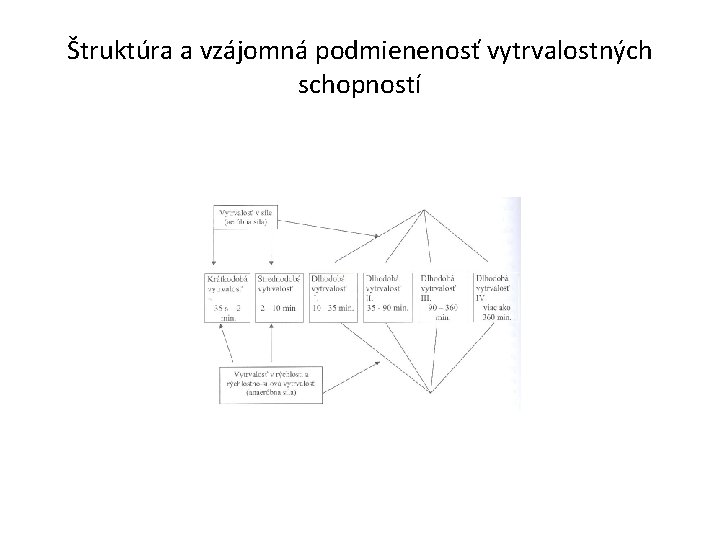 Štruktúra a vzájomná podmienenosť vytrvalostných schopností 