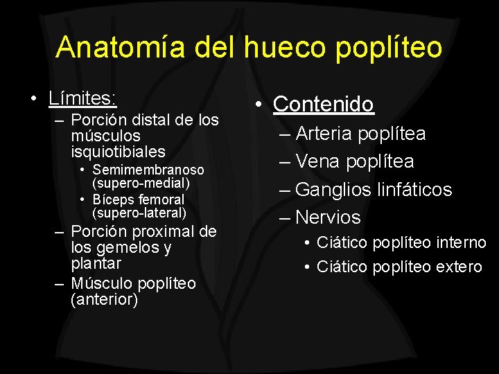 Anatomía del hueco poplíteo • Límites: – Porción distal de los músculos isquiotibiales •