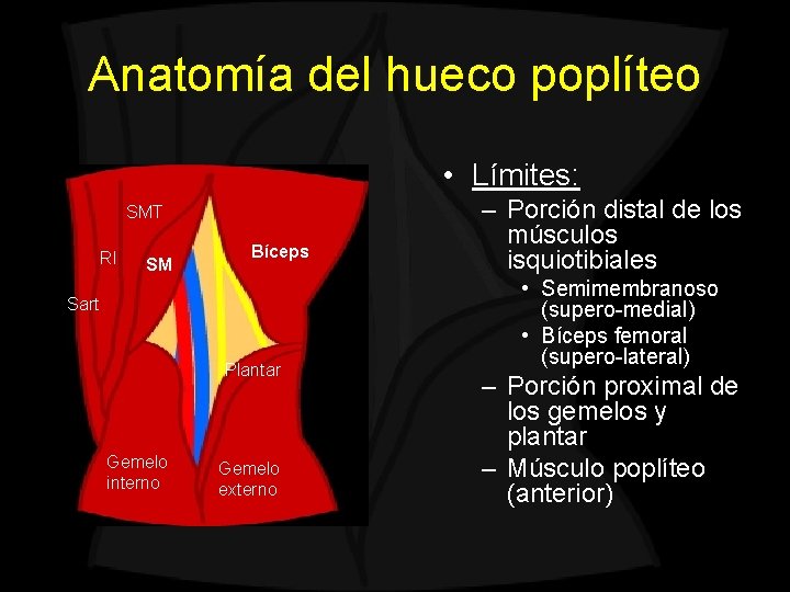 Anatomía del hueco poplíteo • Límites: SMT RI SM Bíceps Sart Plantar Gemelo interno