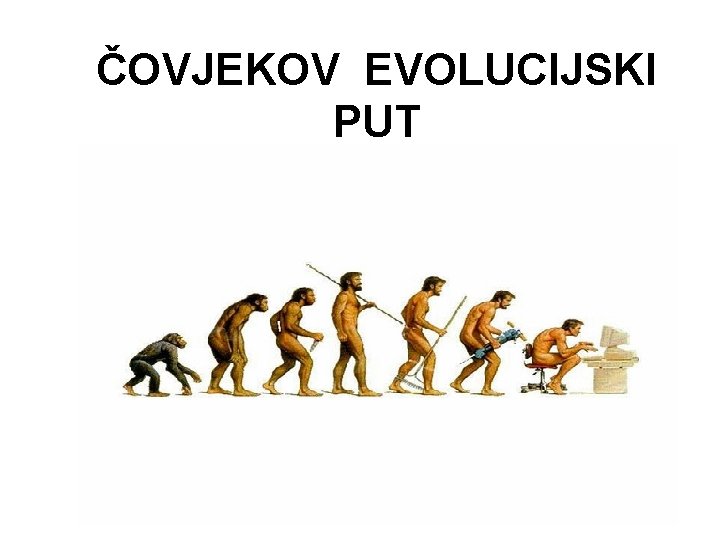ČOVJEKOV EVOLUCIJSKI PUT 