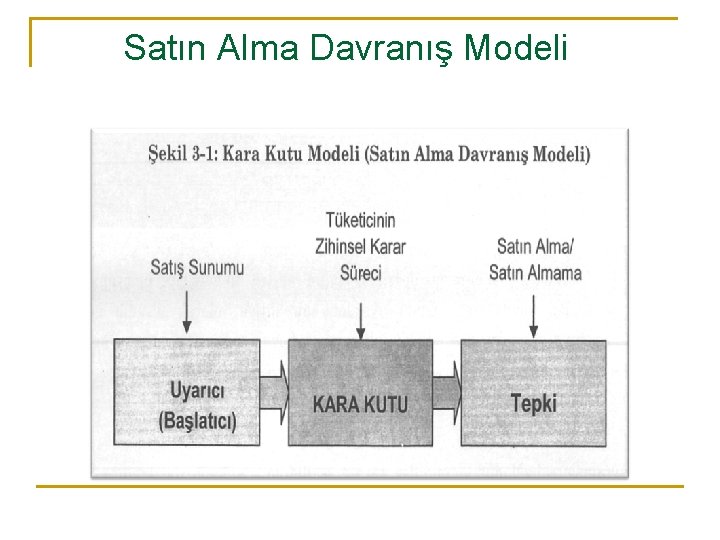 Satın Alma Davranış Modeli 